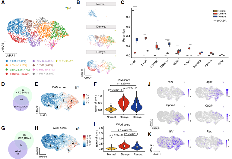 image-20230423173955580