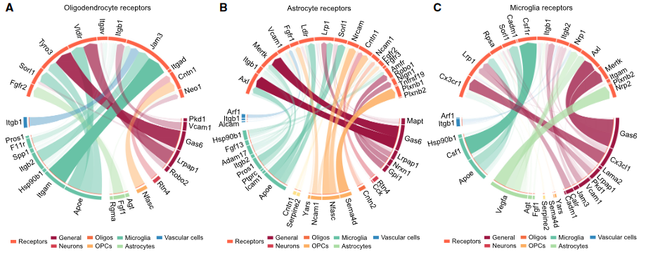 image-20230423174102920
