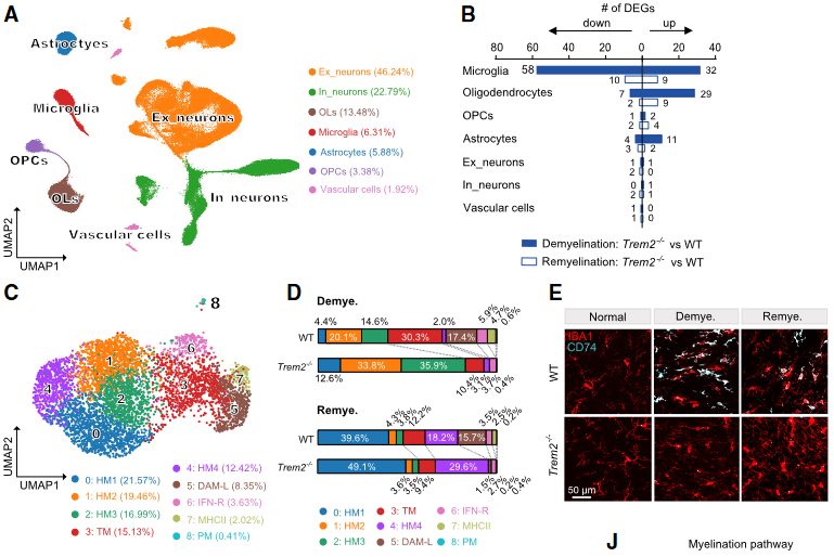 image-20230423174151699