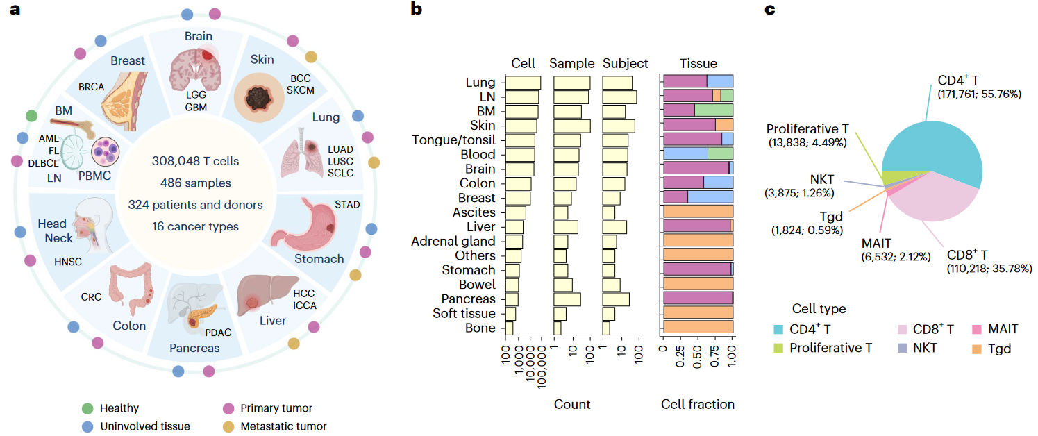 image-20230618131315524