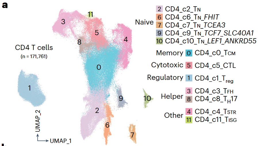 image-20230618134553737