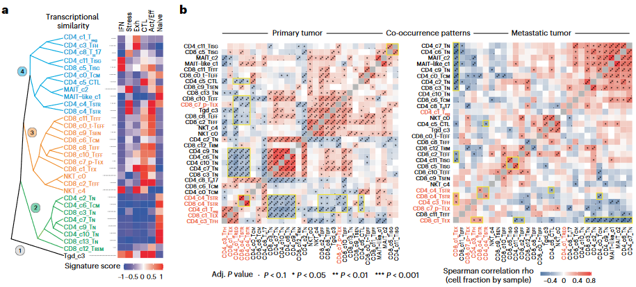 image-20230618140220575