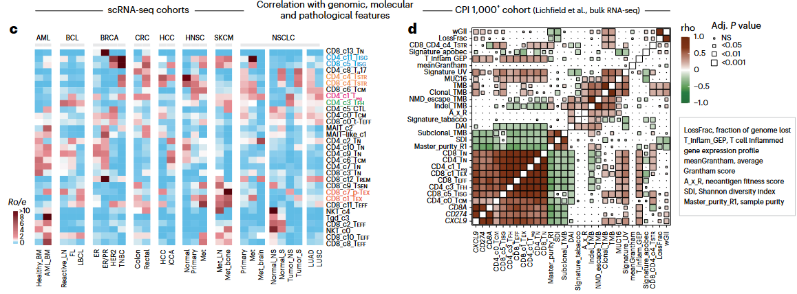 image-20230618141737754
