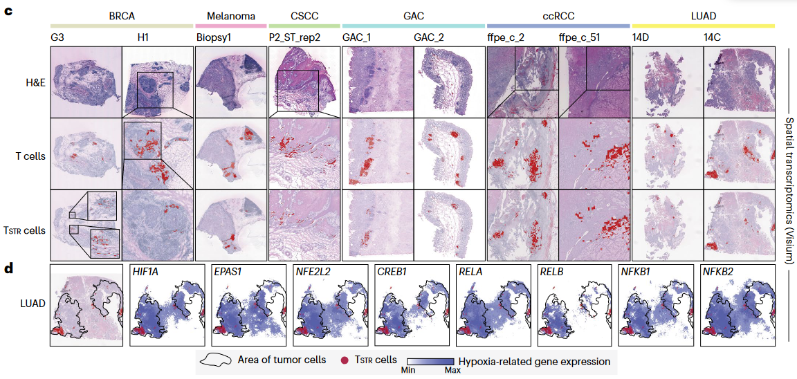 image-20230618143554397