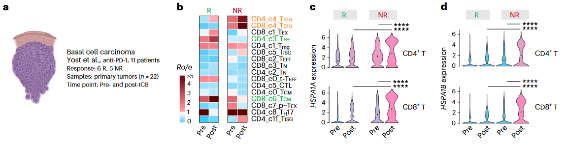image-20230618144221270