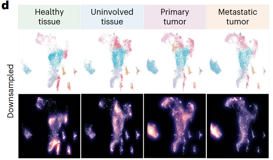 image-20230618150152772