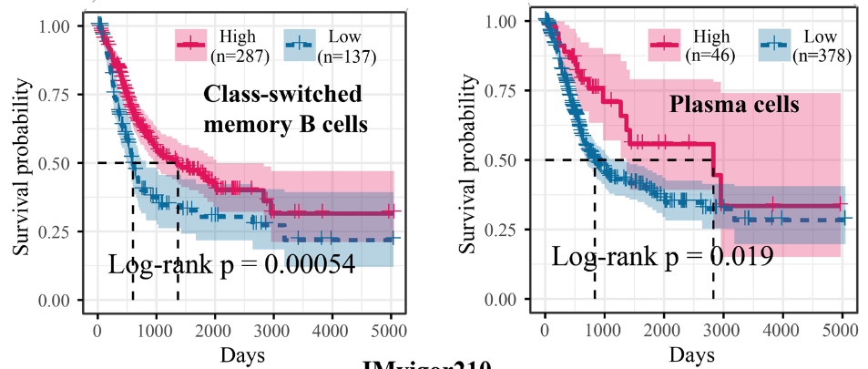 image-20230623143256779