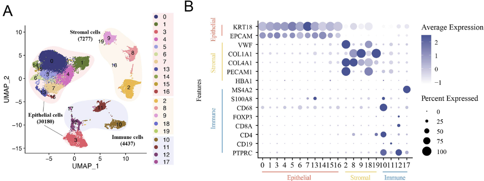 image-20230623144643387
