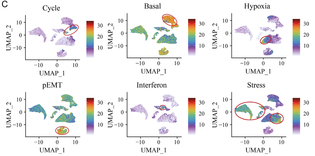 image-20230623150403939