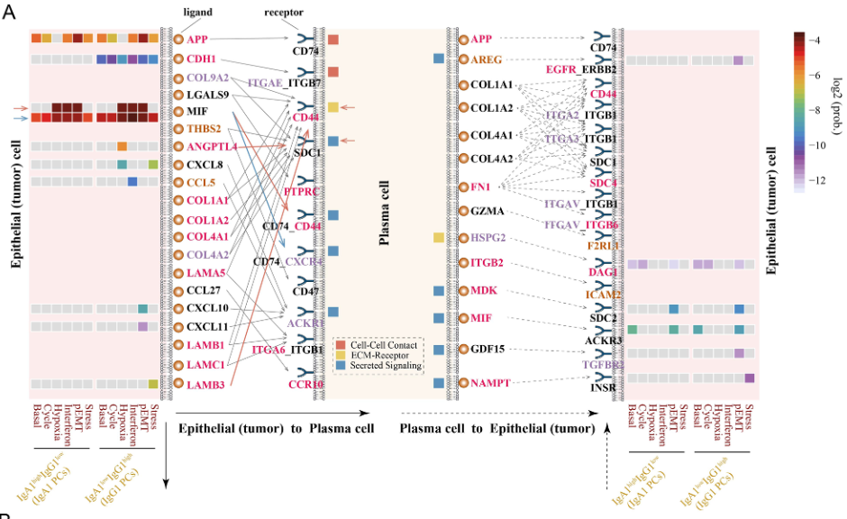 image-20230623151531913