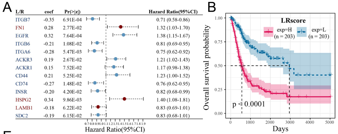 image-20230623153046194