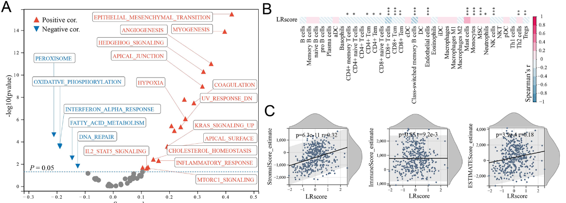 image-20230623154903385