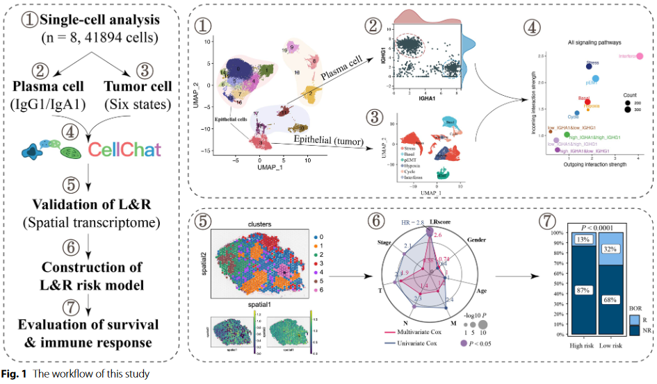 image-20230623165421412