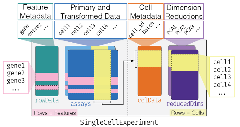 SingleCellExperiment