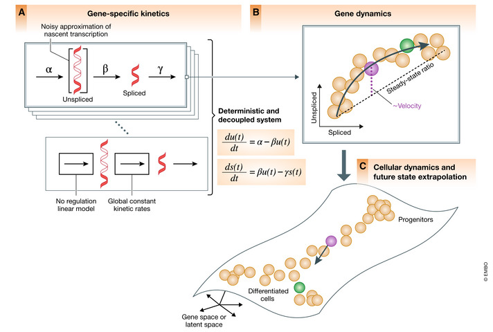 An external file that holds a picture, illustration, etc. Object name is MSB-17-e10282-g002.jpg