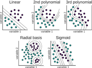 image-20220407174357088