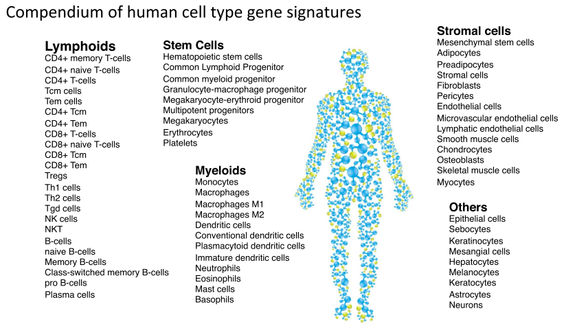 image-20220426202059844
