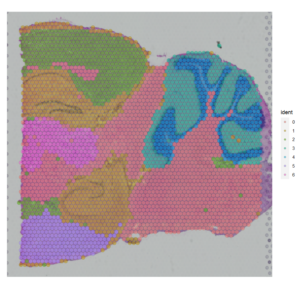 image-20220605090831040