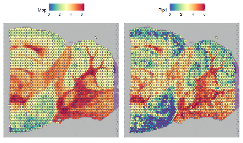 image-20220605091105406