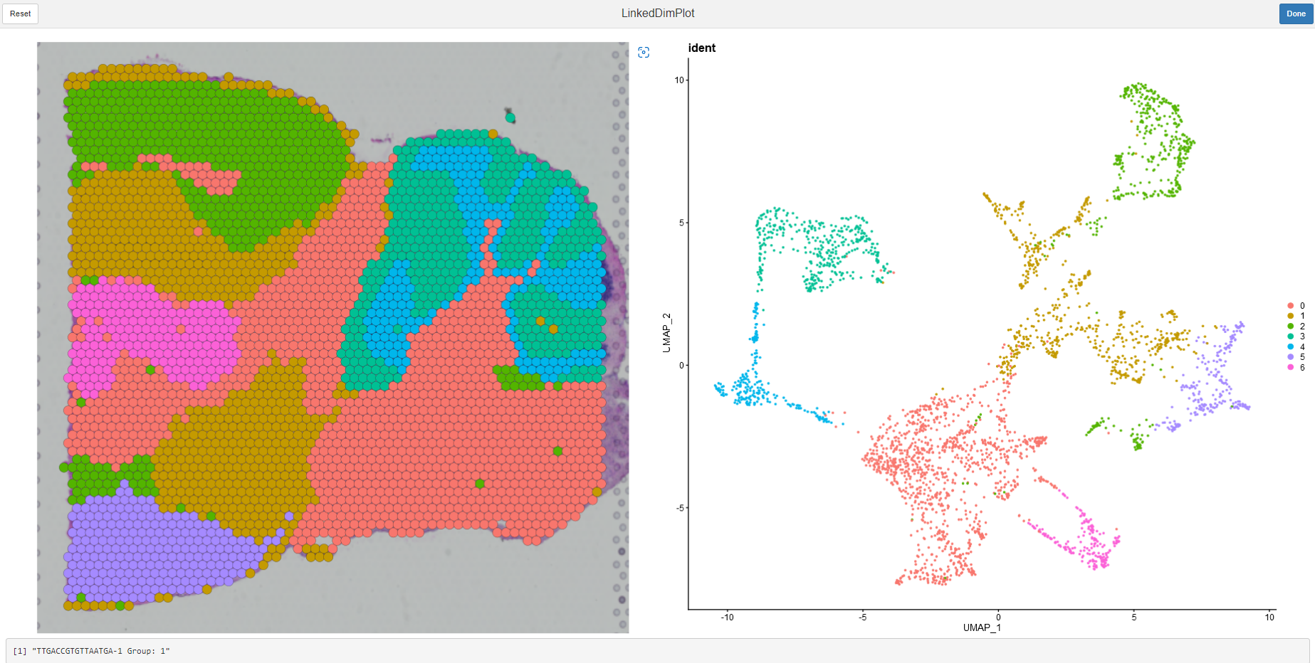 image-20220605091318443