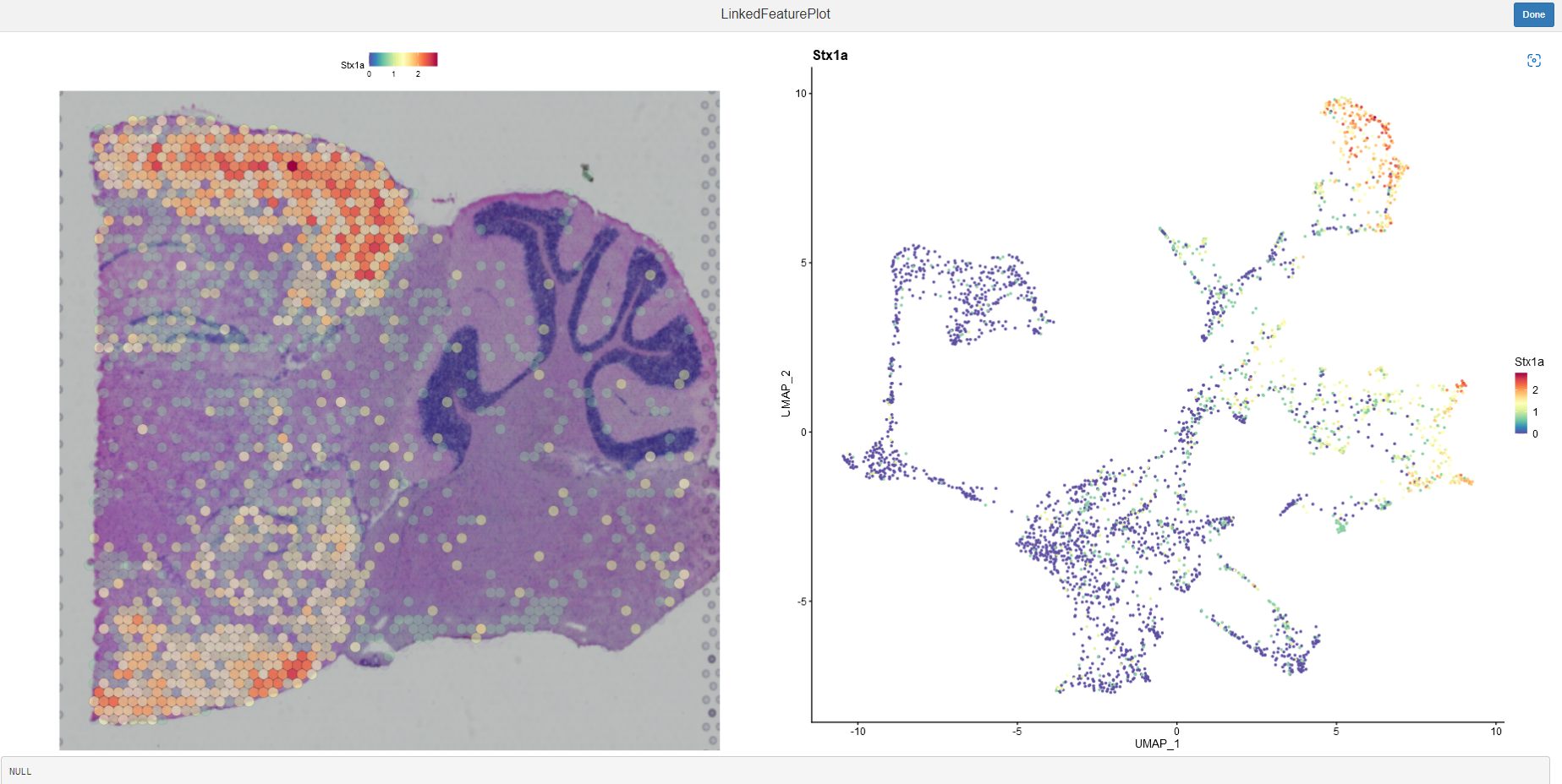 image-20220605091459725