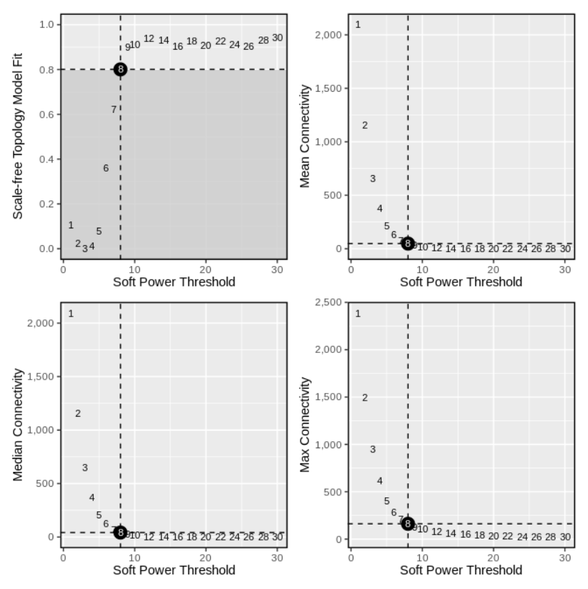 image-20220707142901974