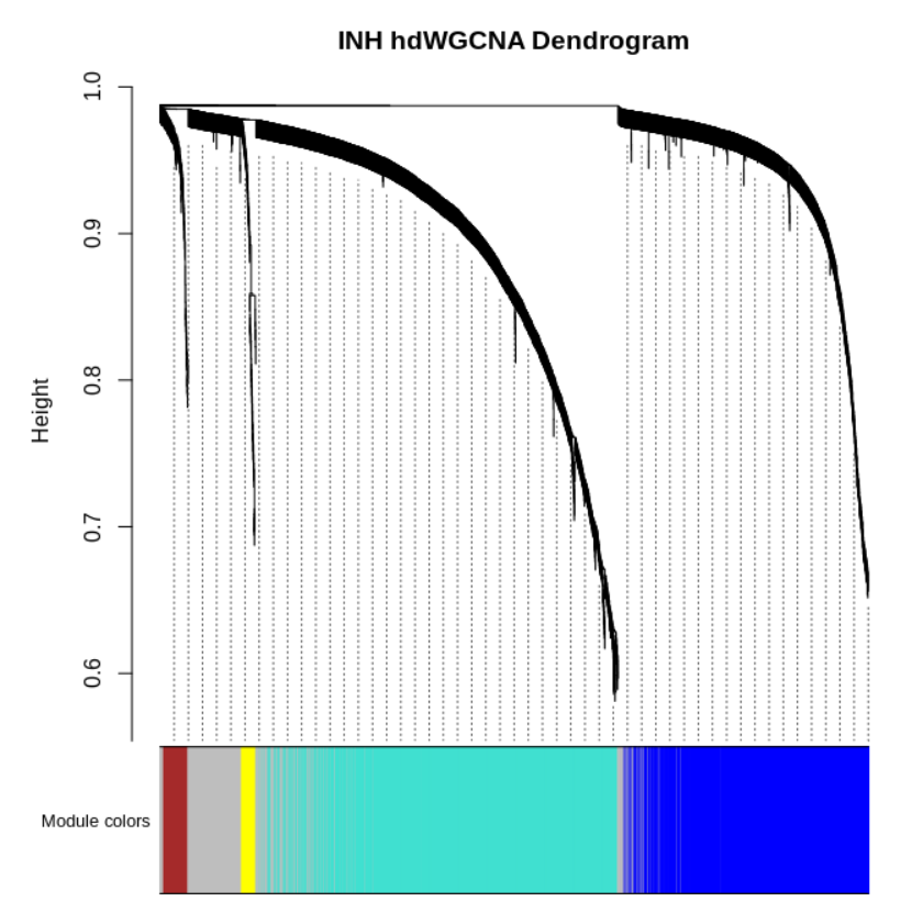 image-20220707143124392