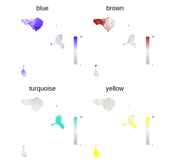 image-20220707144607036