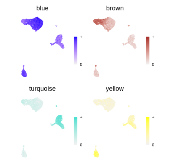 image-20220707144654538