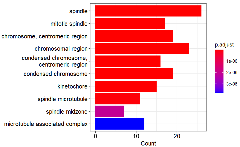 image-20230114080237928