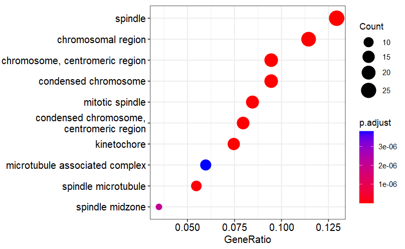 image-20230114081856363