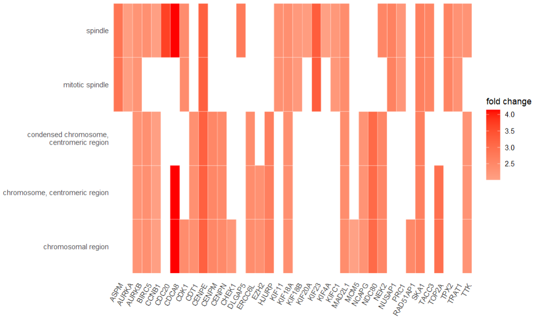 image-20230114083736463