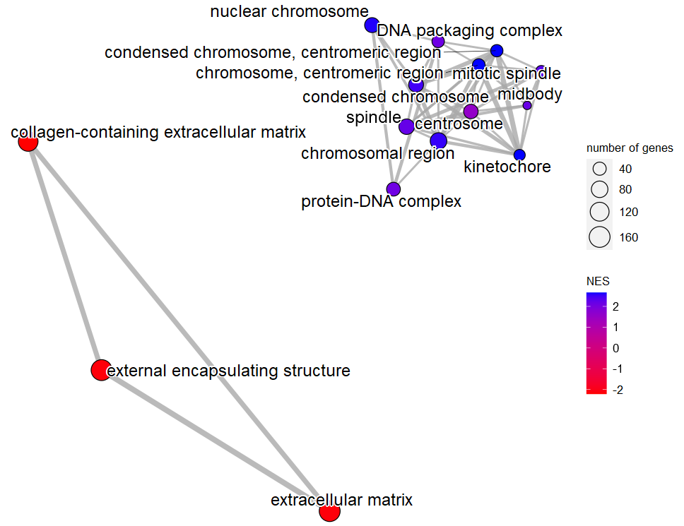 image-20230114084348140