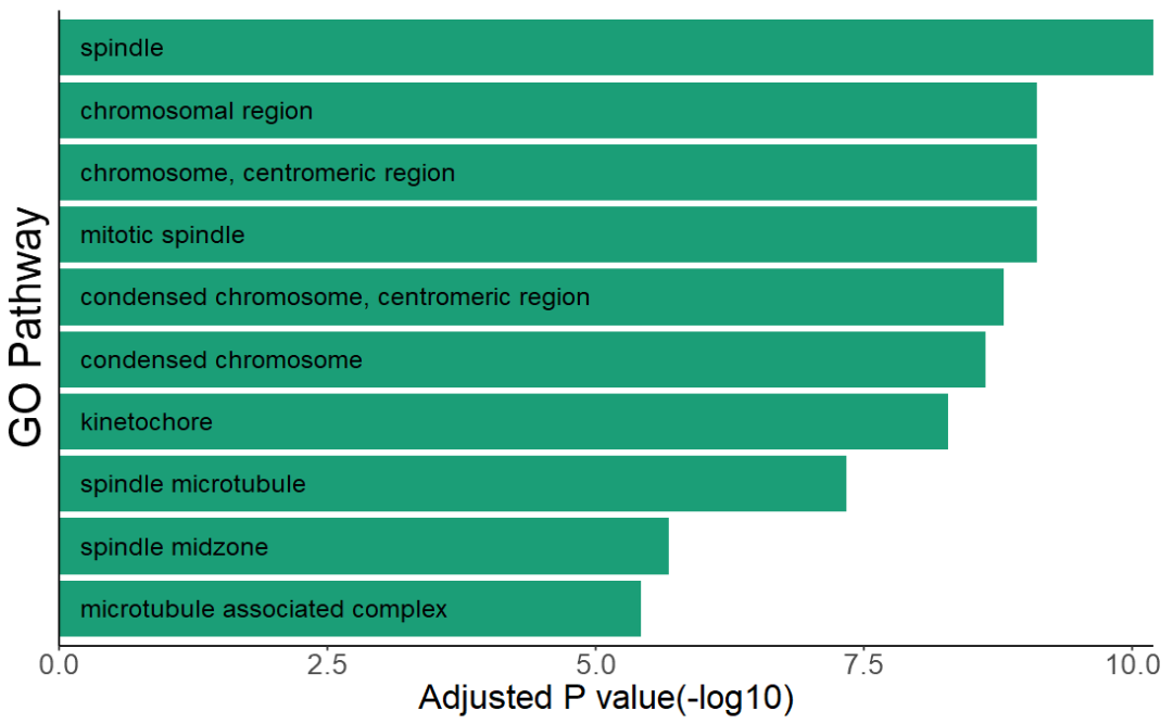 image-20230114200216781