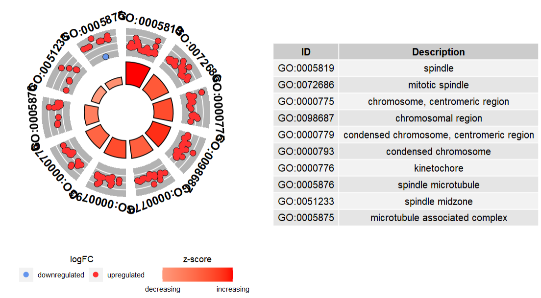 image-20230114202946549