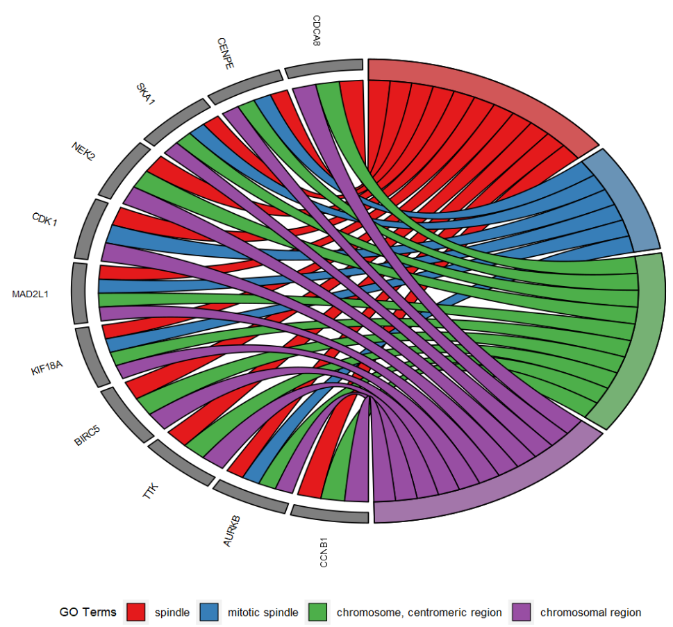 image-20230114203917215