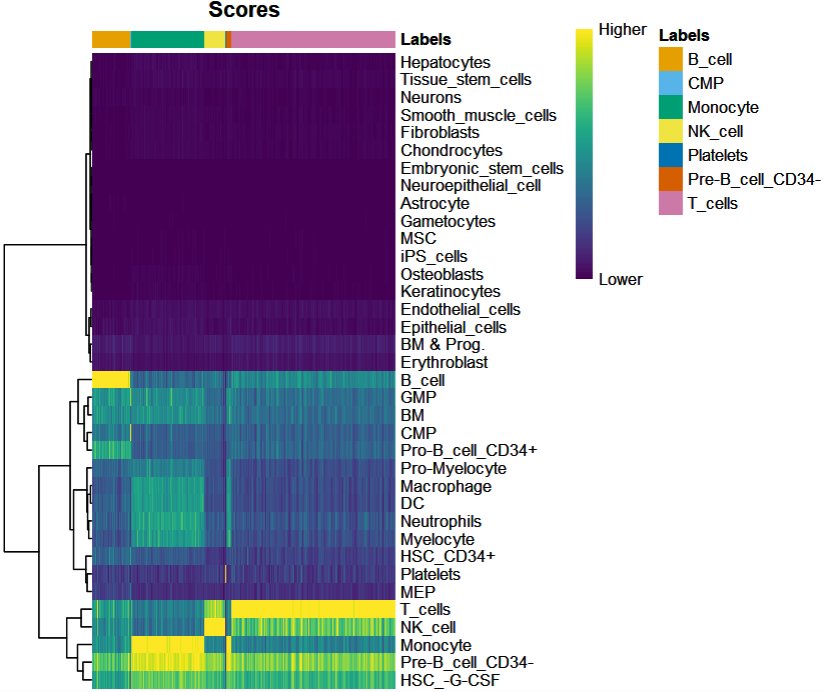 image-20230120205216588