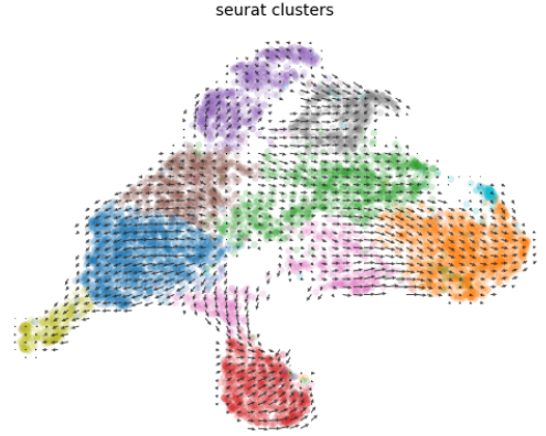 image-20230126130013583