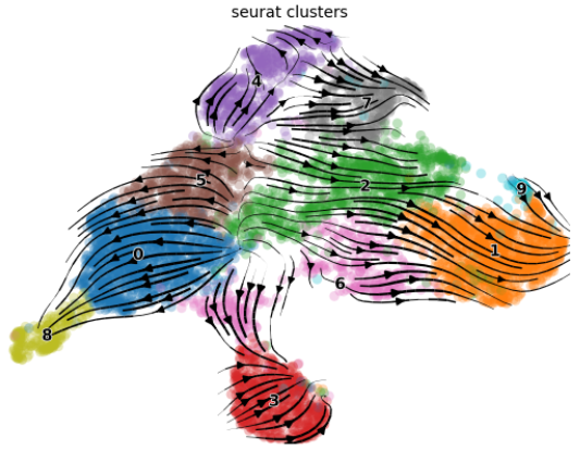 image-20230126130132801