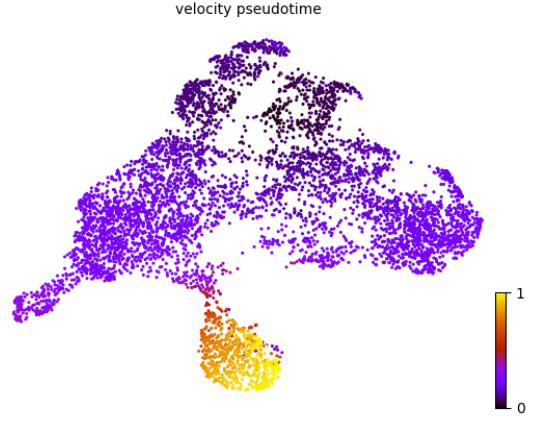 image-20230126131215163