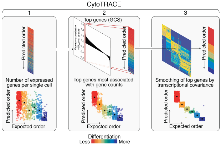 image-20230126190048340