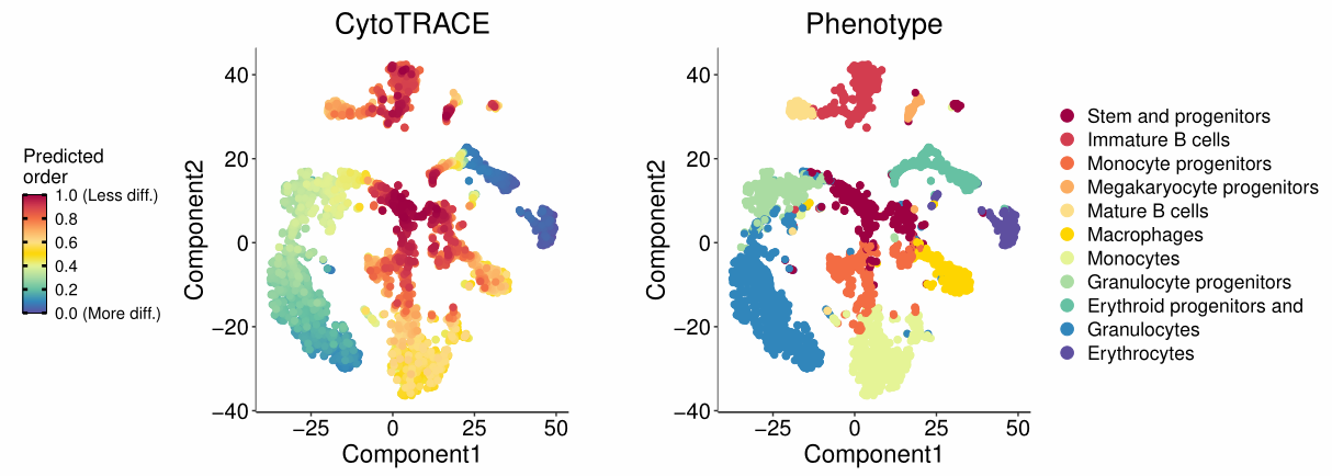 image-20230126195836222