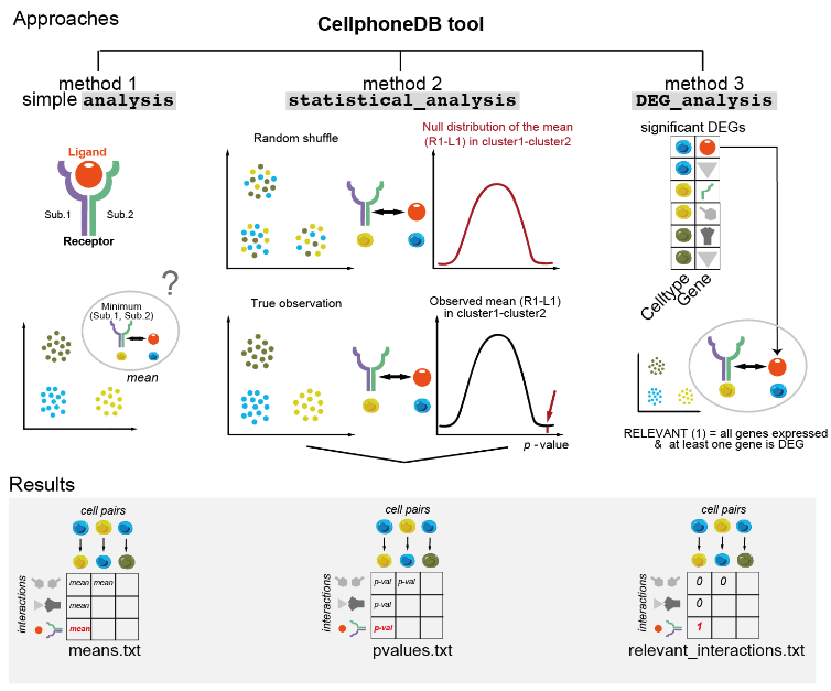 image-20230128095622987