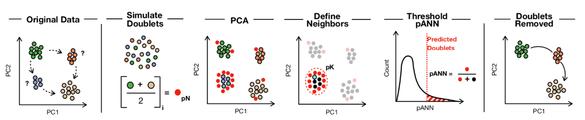 image-20230128150550760