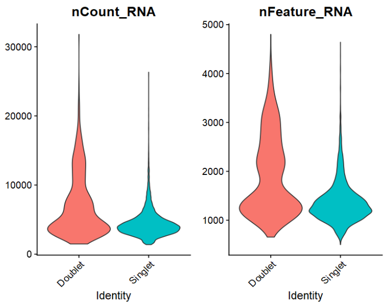 image-20230128161330809