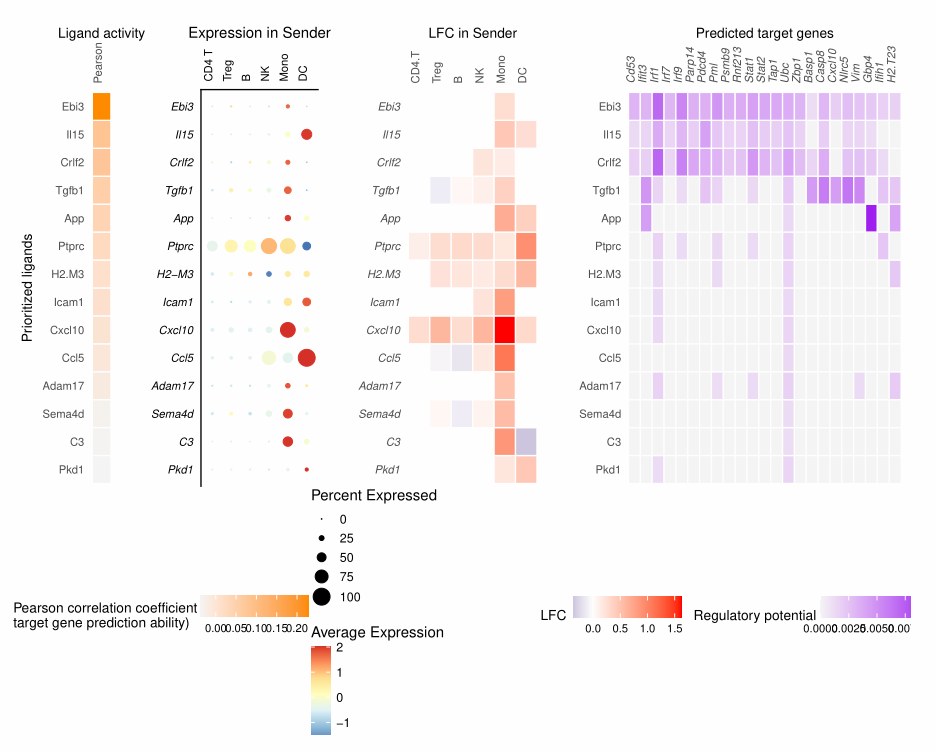 image-20230209101805086