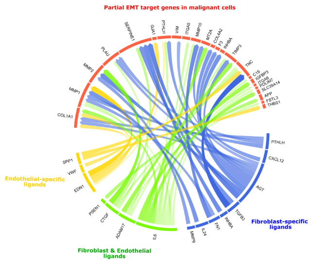 image-20230209104527290