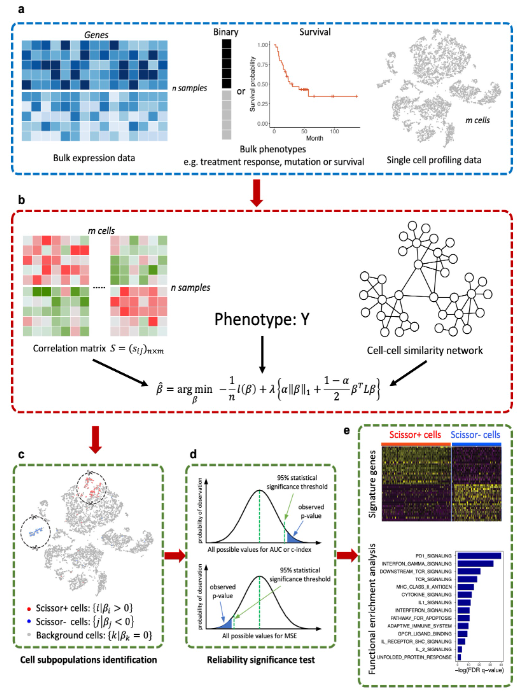 image-20230219113705921