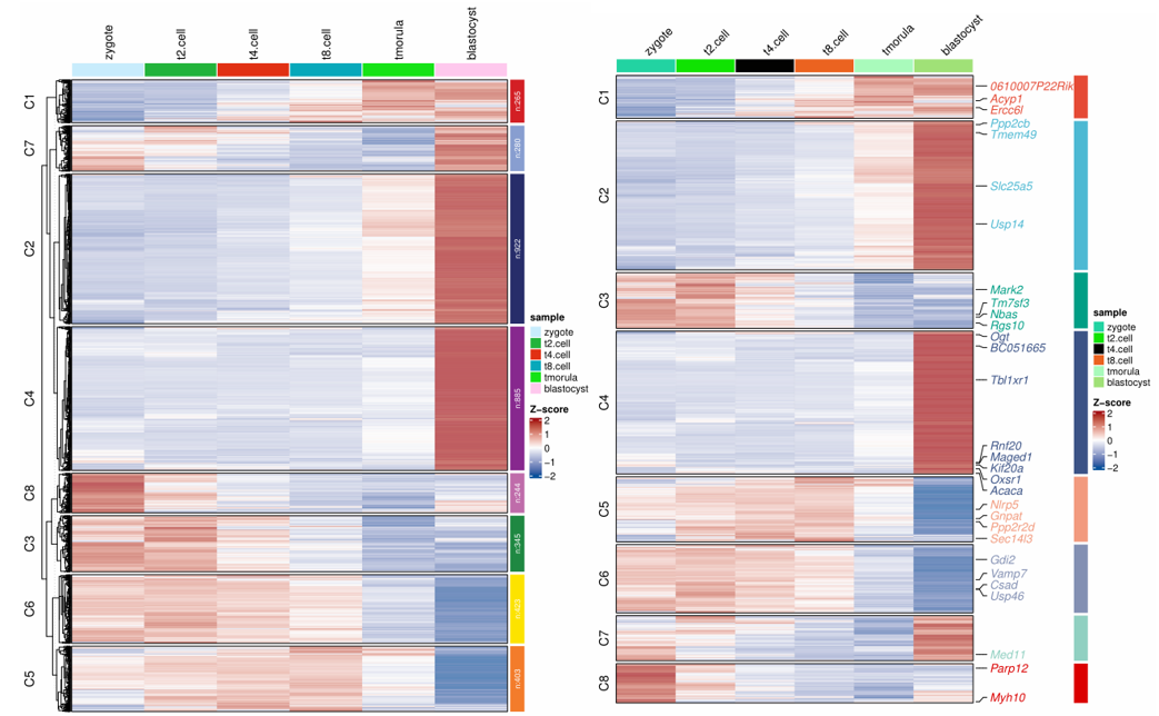 image-20230319115434565