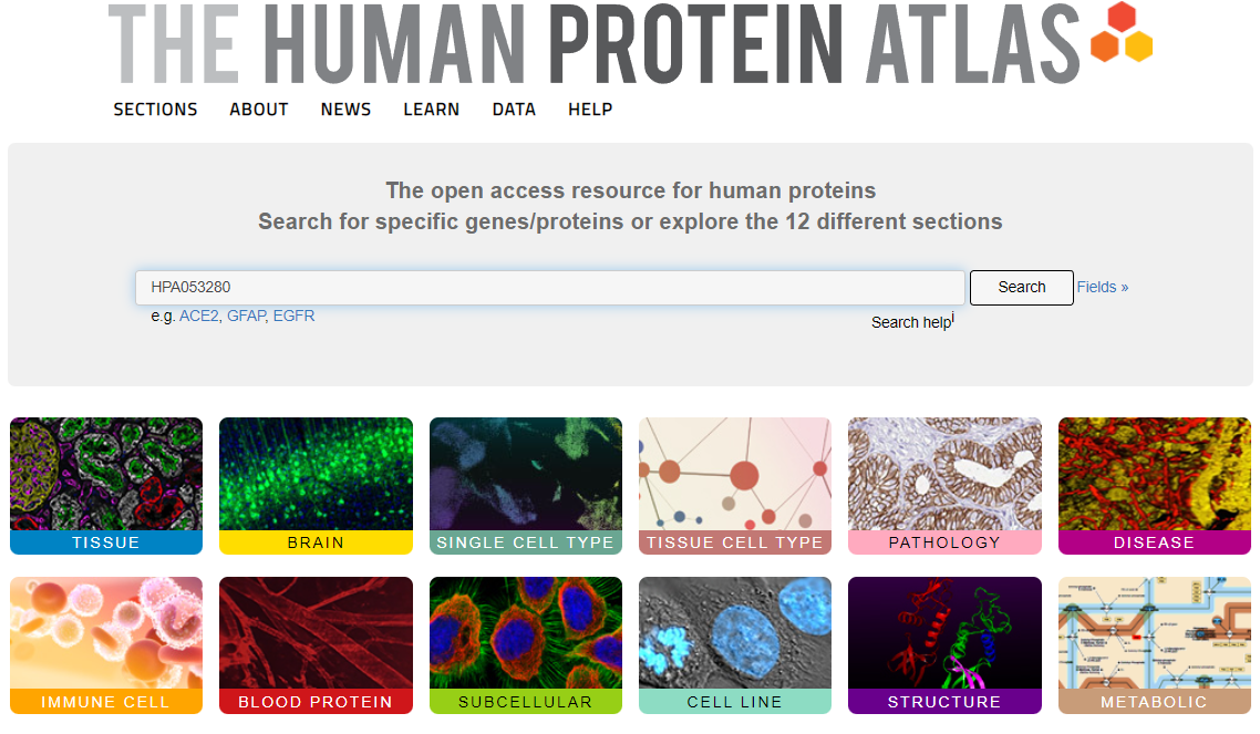 image-20230401152922221